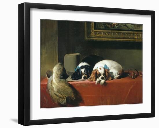 King Charles Spaniels ('The Cavalier's Pets')-Edwin Henry Landseer-Framed Giclee Print