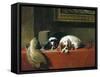 King Charles Spaniels ('The Cavalier's Pets')-Edwin Henry Landseer-Framed Stretched Canvas