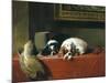 King Charles Spaniels ('The Cavalier's Pets')-Edwin Henry Landseer-Mounted Giclee Print