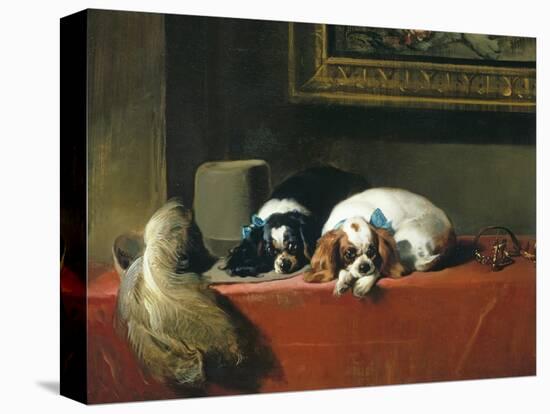 King Charles Spaniels ('The Cavalier's Pets')-Edwin Henry Landseer-Stretched Canvas