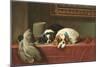 King Charles Spaniels-null-Mounted Art Print