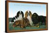 King Charles Spaniels-null-Framed Stretched Canvas