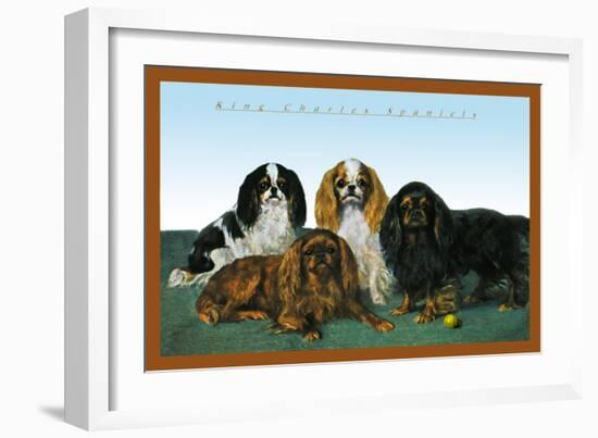 King Charles Spaniels-null-Framed Art Print