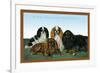 King Charles Spaniels-null-Framed Premium Giclee Print