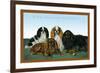 King Charles Spaniels-null-Framed Premium Giclee Print