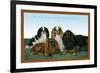 King Charles Spaniels-null-Framed Premium Giclee Print