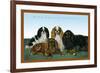 King Charles Spaniels-null-Framed Art Print