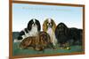 King Charles Spaniels-null-Mounted Art Print