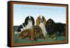 King Charles Spaniels-null-Framed Stretched Canvas