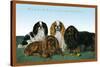 King Charles Spaniels-null-Stretched Canvas