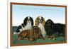 King Charles Spaniels-null-Framed Art Print