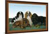 King Charles Spaniels-null-Framed Art Print