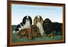 King Charles Spaniels-null-Framed Art Print