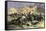 King Charles XII Leading the Swedish Army to Victory over the Russians at Narva, c.1700-null-Framed Stretched Canvas