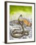 King Cobra Meets His Match, from 'Nature's Kingdom'-Susan Cartwright-Framed Giclee Print