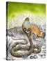 King Cobra Meets His Match, from 'Nature's Kingdom'-Susan Cartwright-Stretched Canvas