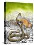 King Cobra Meets His Match, from 'Nature's Kingdom'-Susan Cartwright-Stretched Canvas
