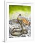 King Cobra Meets His Match, from 'Nature's Kingdom'-Susan Cartwright-Framed Giclee Print