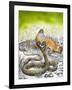 King Cobra Meets His Match, from 'Nature's Kingdom'-Susan Cartwright-Framed Giclee Print