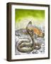 King Cobra Meets His Match, from 'Nature's Kingdom'-Susan Cartwright-Framed Giclee Print