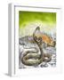 King Cobra Meets His Match, from 'Nature's Kingdom'-Susan Cartwright-Framed Giclee Print