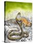 King Cobra Meets His Match, from 'Nature's Kingdom'-Susan Cartwright-Stretched Canvas