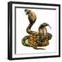 King Cobras-George R. Radcliffe-Framed Giclee Print