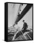 King Constantine Ii of Greece Sailing in His Boat-null-Framed Stretched Canvas