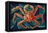 King Crab - Mosaic-Lantern Press-Framed Stretched Canvas