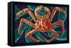 King Crab - Mosaic-Lantern Press-Framed Stretched Canvas