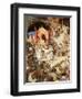 King David bringing the ark into Jerusalem - Bible-William Brassey Hole-Framed Premium Giclee Print