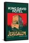 King David Hotel Luggage Label-null-Framed Stretched Canvas