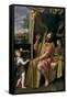 King David-Domenichino-Framed Stretched Canvas