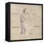 King David-Fra Angelico-Framed Stretched Canvas