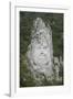 King Decabalus Rock Carving, Danube Gorge, Romania, Europe-Rolf Richardson-Framed Photographic Print