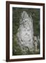 King Decabalus Rock Carving, Danube Gorge, Romania, Europe-Rolf Richardson-Framed Photographic Print