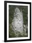 King Decabalus Rock Carving, Danube Gorge, Romania, Europe-Rolf Richardson-Framed Photographic Print