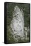 King Decabalus Rock Carving, Danube Gorge, Romania, Europe-Rolf Richardson-Framed Stretched Canvas