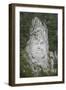 King Decabalus Rock Carving, Danube Gorge, Romania, Europe-Rolf Richardson-Framed Photographic Print