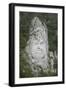 King Decabalus Rock Carving, Danube Gorge, Romania, Europe-Rolf Richardson-Framed Photographic Print