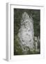 King Decabalus Rock Carving, Danube Gorge, Romania, Europe-Rolf Richardson-Framed Photographic Print