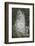 King Decabalus Rock Carving, Danube Gorge, Romania, Europe-Rolf Richardson-Framed Photographic Print
