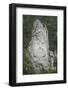 King Decabalus Rock Carving, Danube Gorge, Romania, Europe-Rolf Richardson-Framed Photographic Print