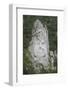 King Decabalus Rock Carving, Danube Gorge, Romania, Europe-Rolf Richardson-Framed Photographic Print