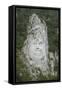 King Decabalus Rock Carving, Danube Gorge, Romania, Europe-Rolf Richardson-Framed Stretched Canvas