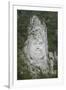 King Decabalus Rock Carving, Danube Gorge, Romania, Europe-Rolf Richardson-Framed Photographic Print