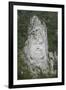 King Decabalus Rock Carving, Danube Gorge, Romania, Europe-Rolf Richardson-Framed Photographic Print
