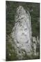 King Decabalus Rock Carving, Danube Gorge, Romania, Europe-Rolf Richardson-Mounted Photographic Print