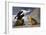 King Duck-John James Audubon-Framed Art Print