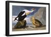 King Duck-John James Audubon-Framed Art Print